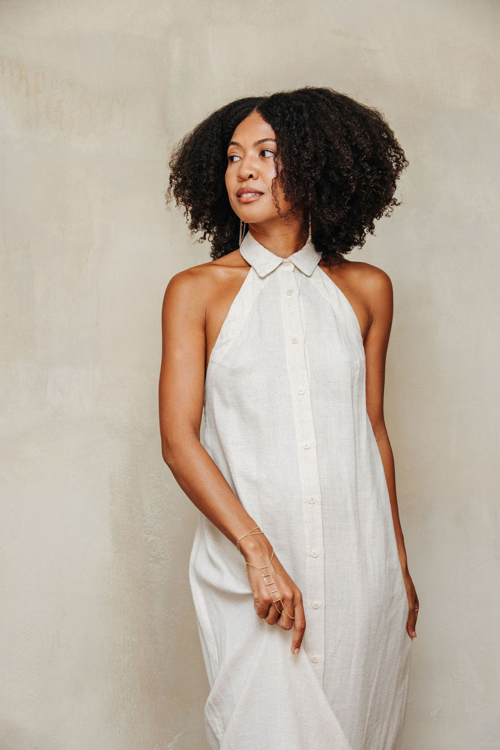 Meadow Shirt Dress