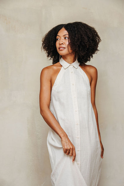 Meadow Shirt Dress
