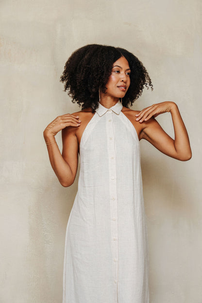 Meadow Shirt Dress